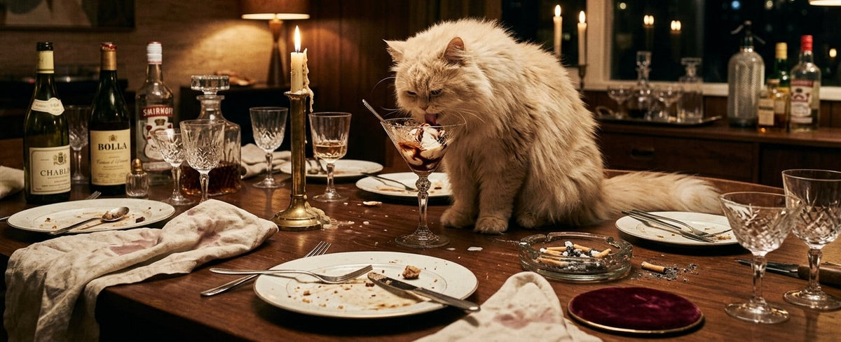 dinner party aftermath with Felix
